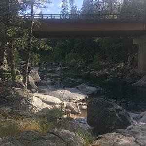 Meet your Posher, Nellida